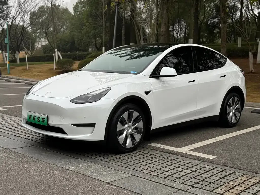 Tesla Model Y — фото 7