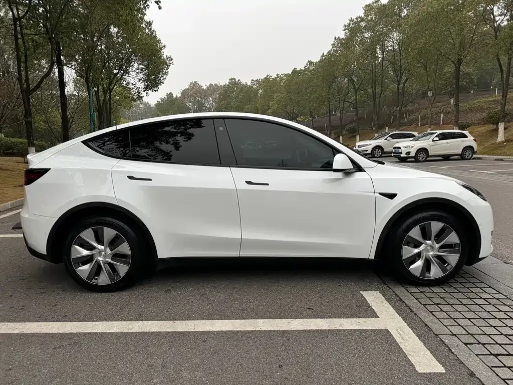 Tesla Model Y — фото 5