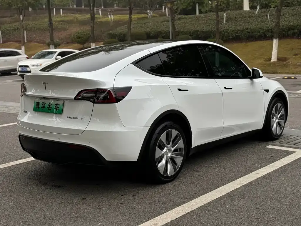 Tesla Model Y — фото 8