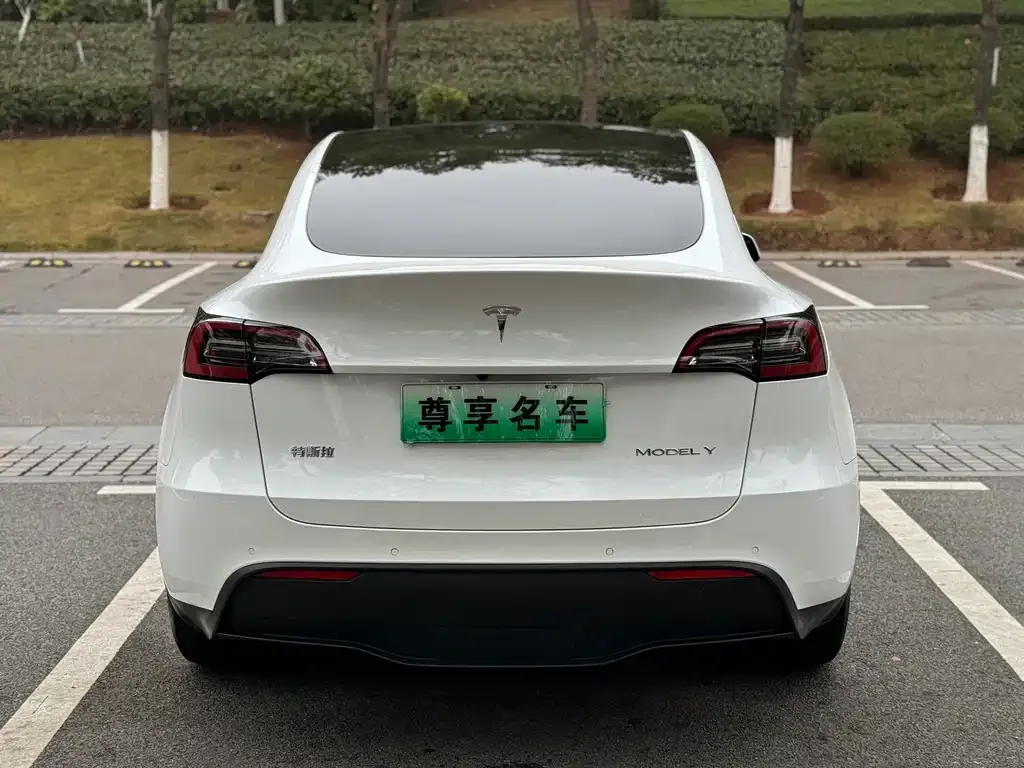 Tesla Model Y — фото 9