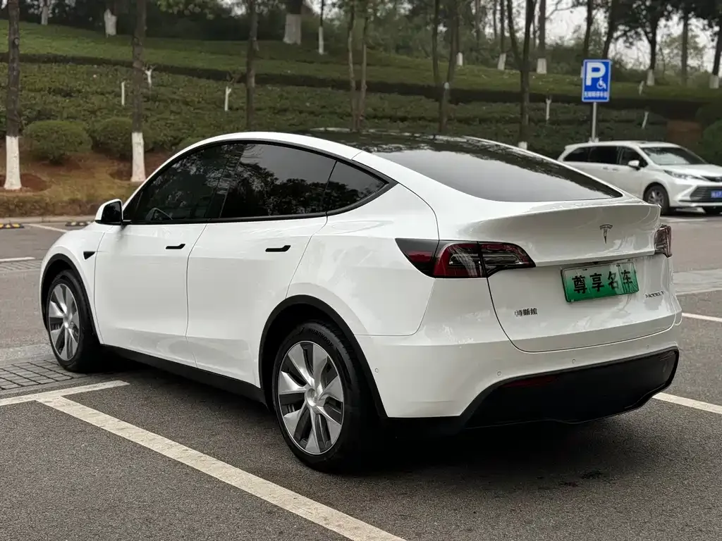 Tesla Model Y — фото 10