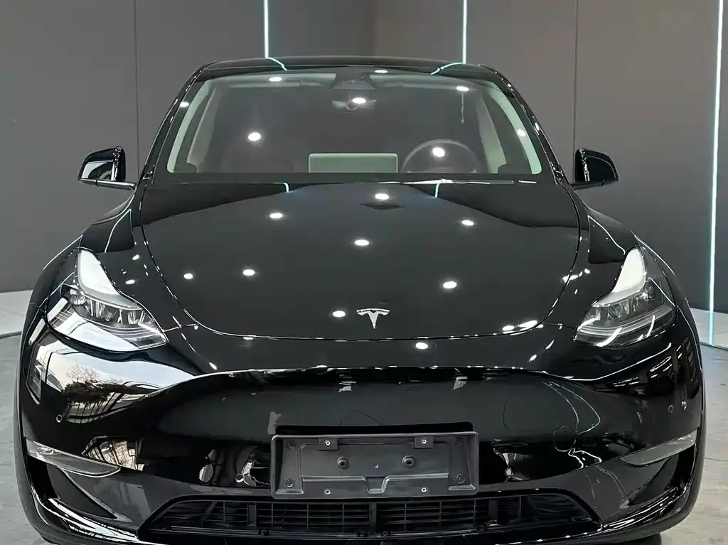 Tesla Model Y — фото 2
