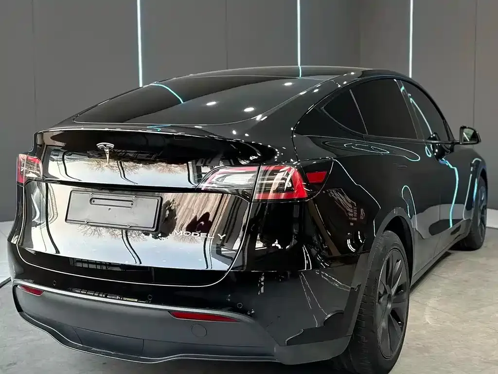 Tesla Model Y — фото 10