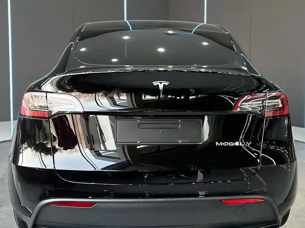 Tesla Model Y — фото 8