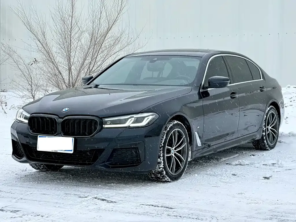 BMW 5 Series 2023 из CN, фото 1
