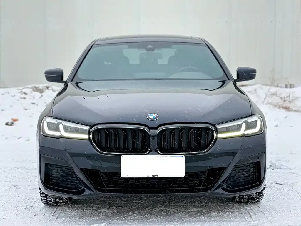BMW 5 Series 2023 из CN, фото 2