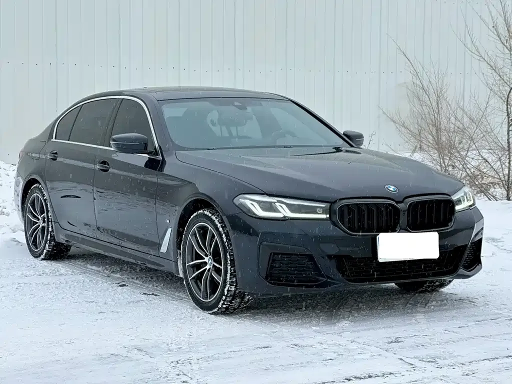 BMW 5 Series 2023 из CN, фото 6