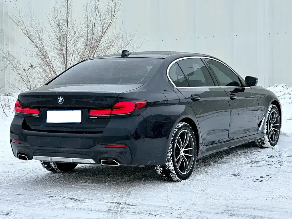 BMW 5 Series 2023 из CN, фото 9