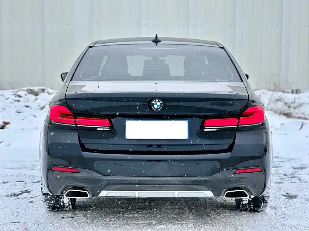 BMW 5 Series 2023 из CN, фото 4