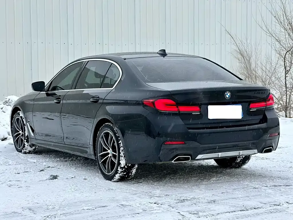 BMW 5 Series 2023 из CN, фото 8