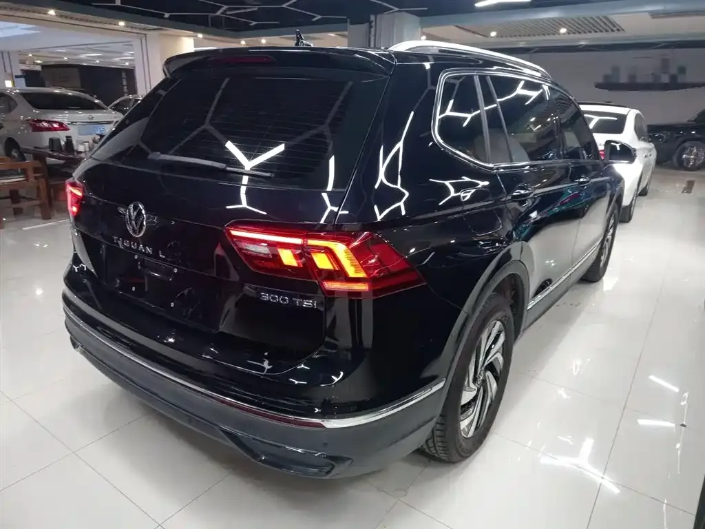 Volkswagen Tiguan L 2024 из CN, фото 3