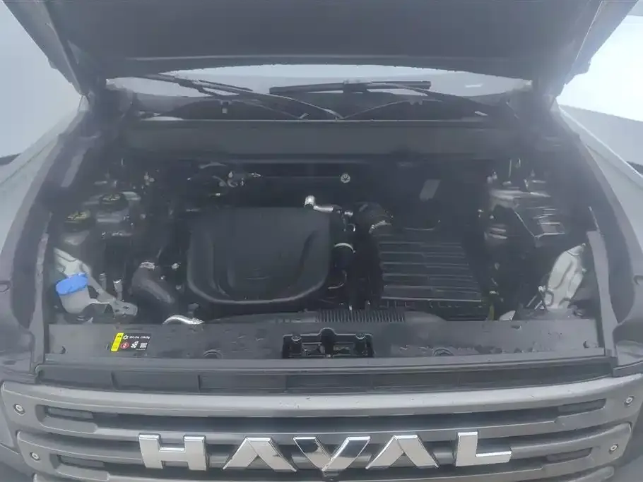 Haval Menglong New Energy 2025 из CN, фото 9