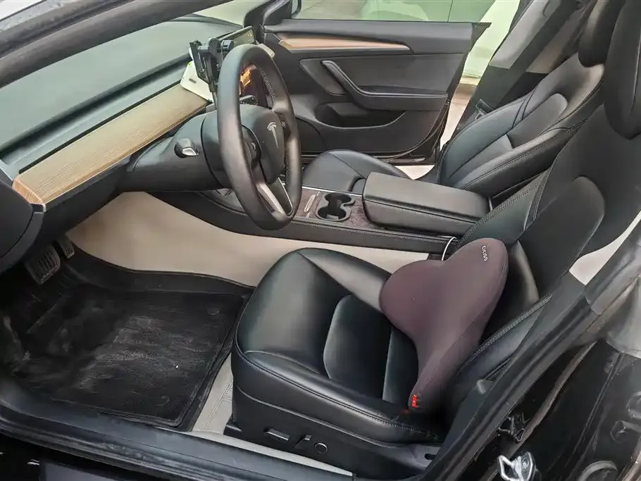 Tesla Model 3 2023 из CN, фото 6