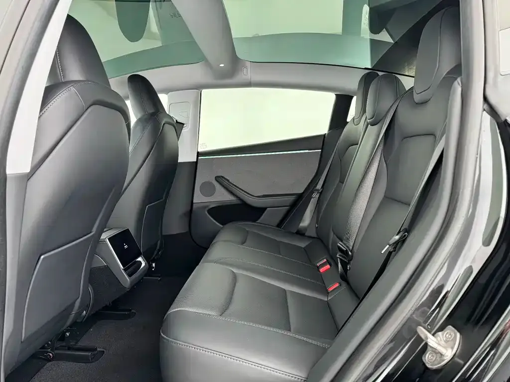 Tesla Model 3 2024 из CN, фото 8