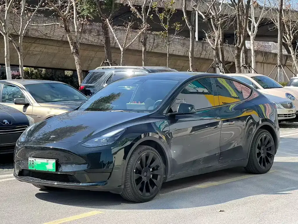 Tesla Model Y 2022 из CN, фото 1