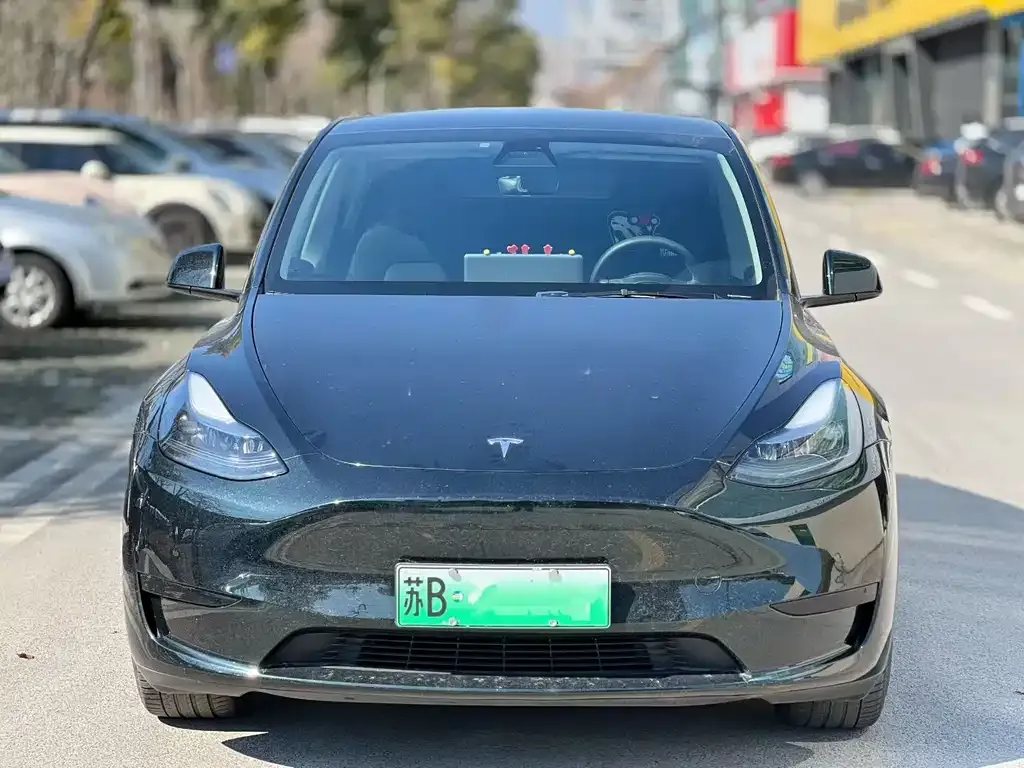 Tesla Model Y 2022 из CN, фото 2