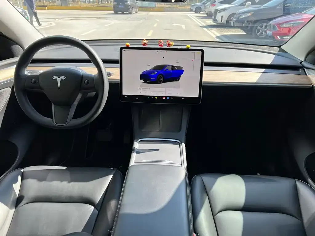 Tesla Model Y 2022 из CN, фото 6