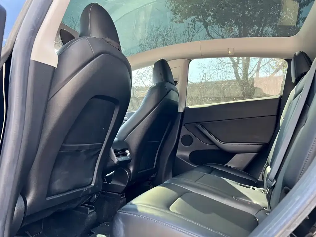 Tesla Model Y 2022 из CN, фото 7