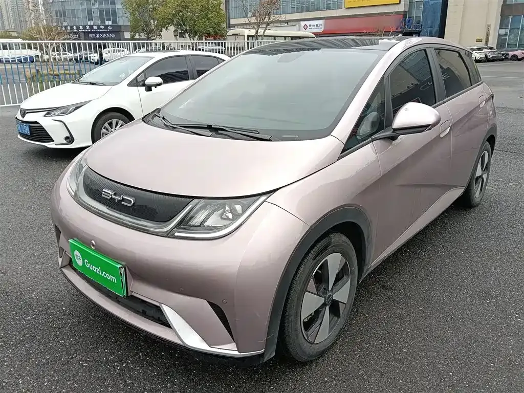 BYD Dolphin 2024 из CN, фото 3
