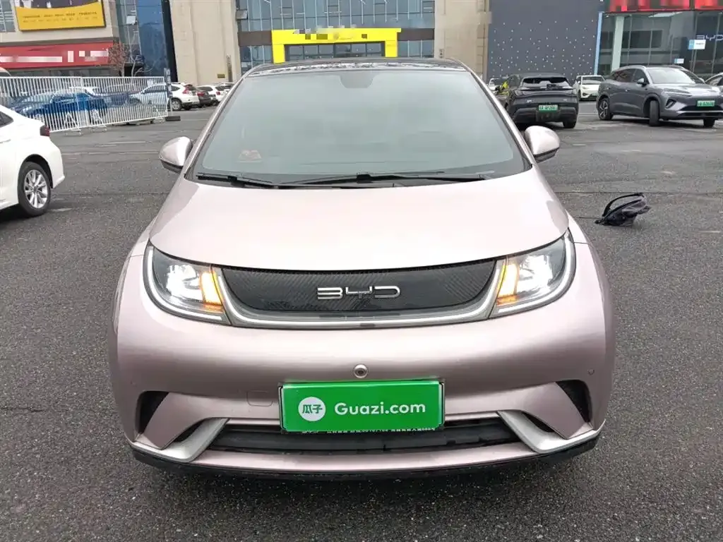 BYD Dolphin 2024 из CN, фото 2