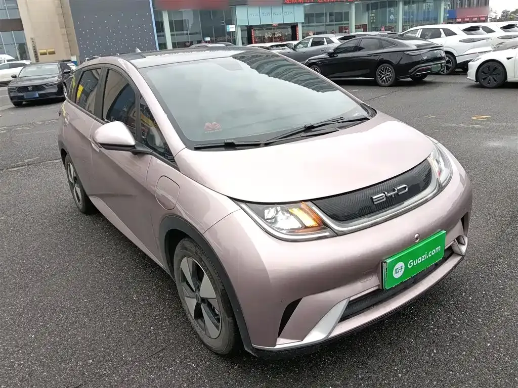 BYD Dolphin 2024 из CN, фото 4