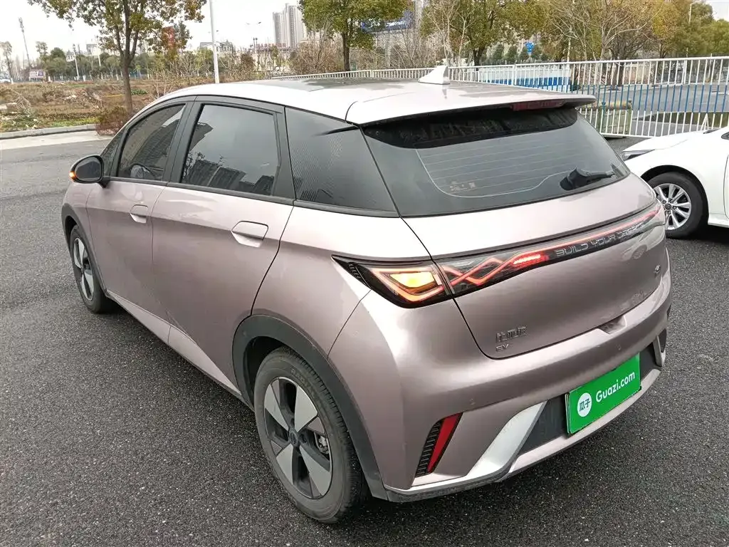 BYD Dolphin 2024 из CN, фото 7