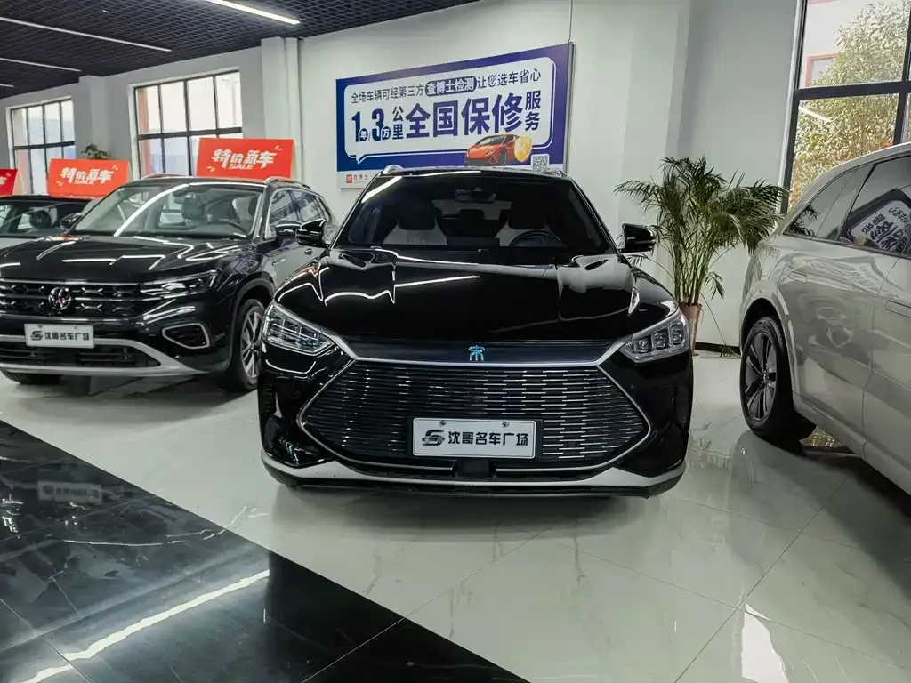 BYD PLUS New Energy 2023 из CN, фото 3