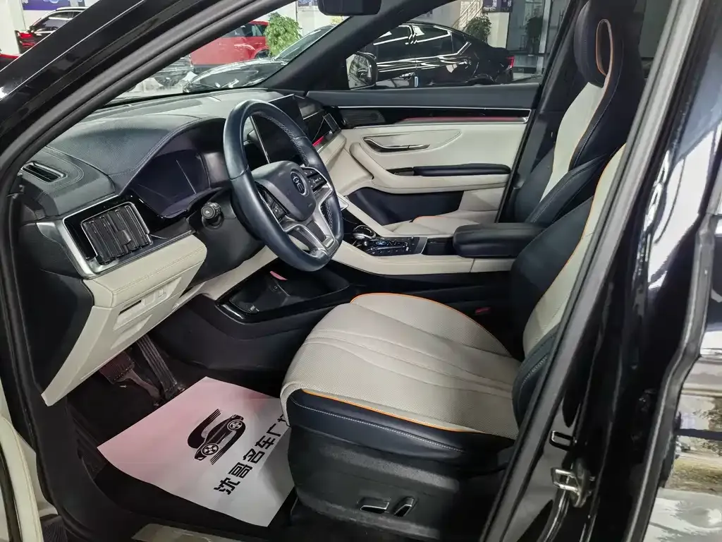 BYD PLUS New Energy 2023 из CN, фото 4