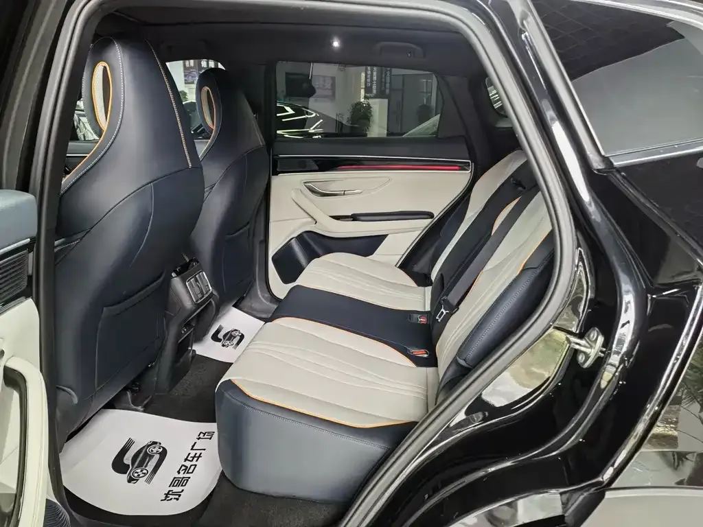 BYD PLUS New Energy 2023 из CN, фото 2