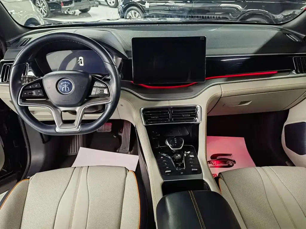 BYD PLUS New Energy 2023 из CN, фото 5