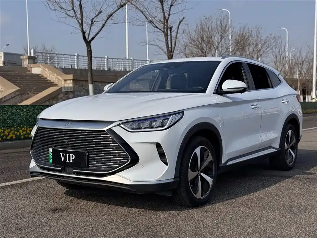 BYD PLUS New Energy — фото 1