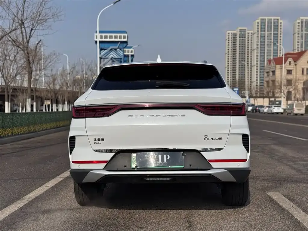 BYD PLUS New Energy — фото 3