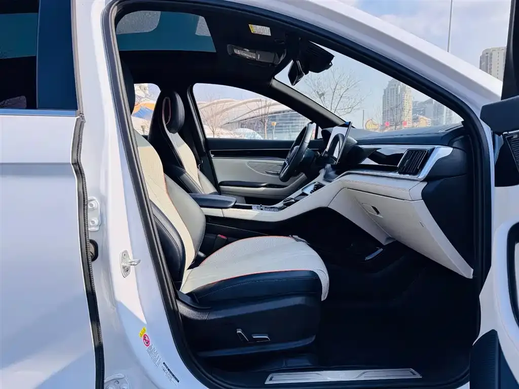 BYD PLUS New Energy — фото 10