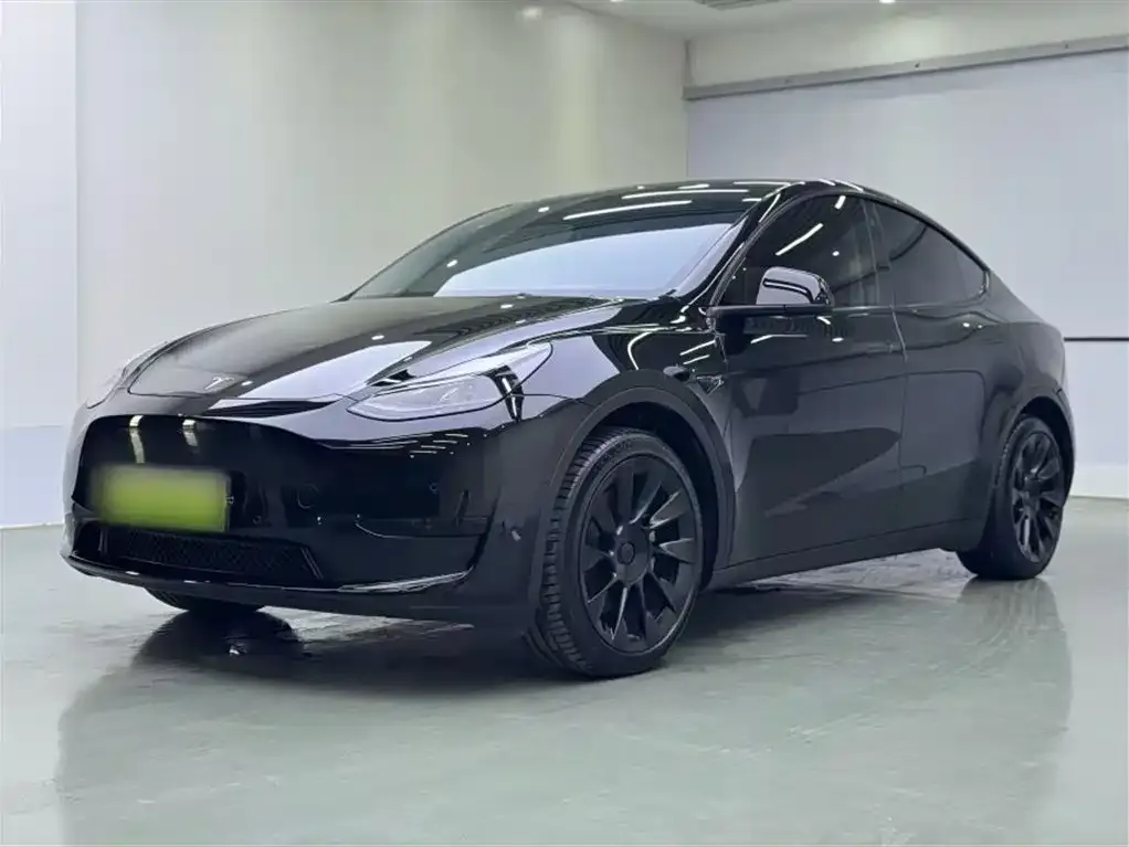 Tesla Model Y — фото 2