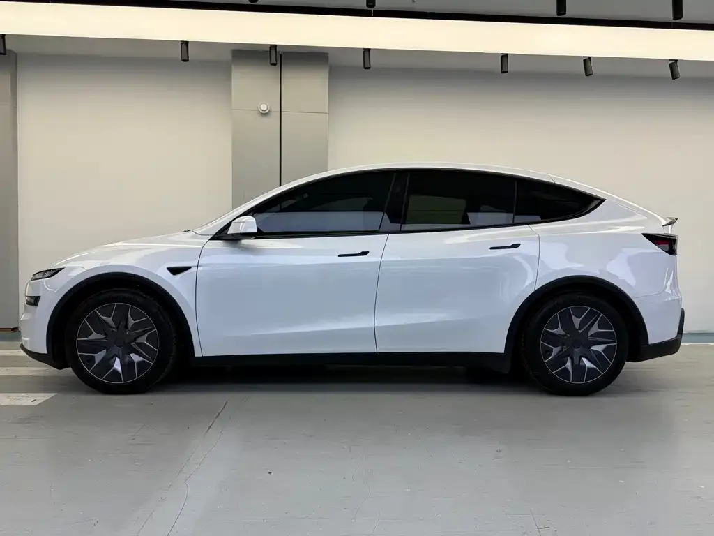 Tesla Model Y L 2025 из CN, фото 4
