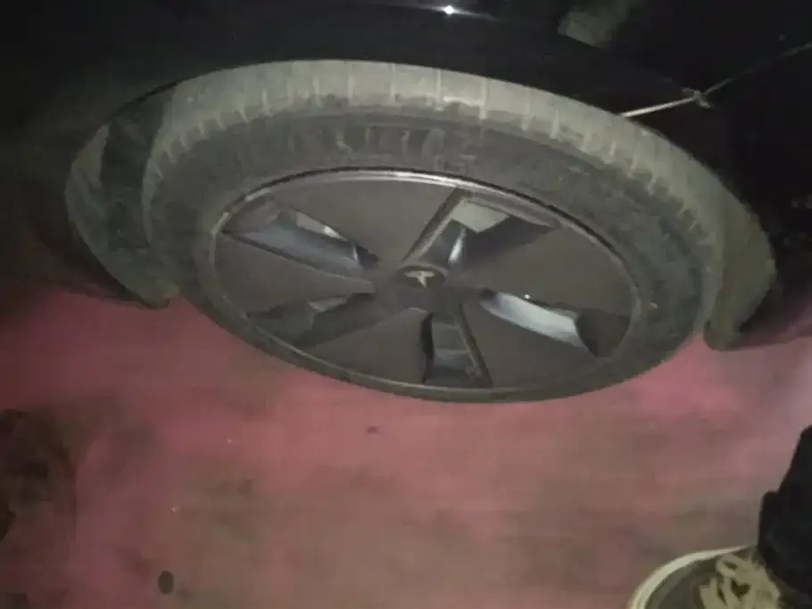 Tesla Model 3 2022 из CN, фото 2