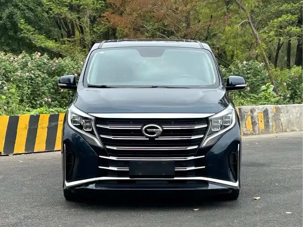 GAC Motor Trumpchi M8 — фото 10