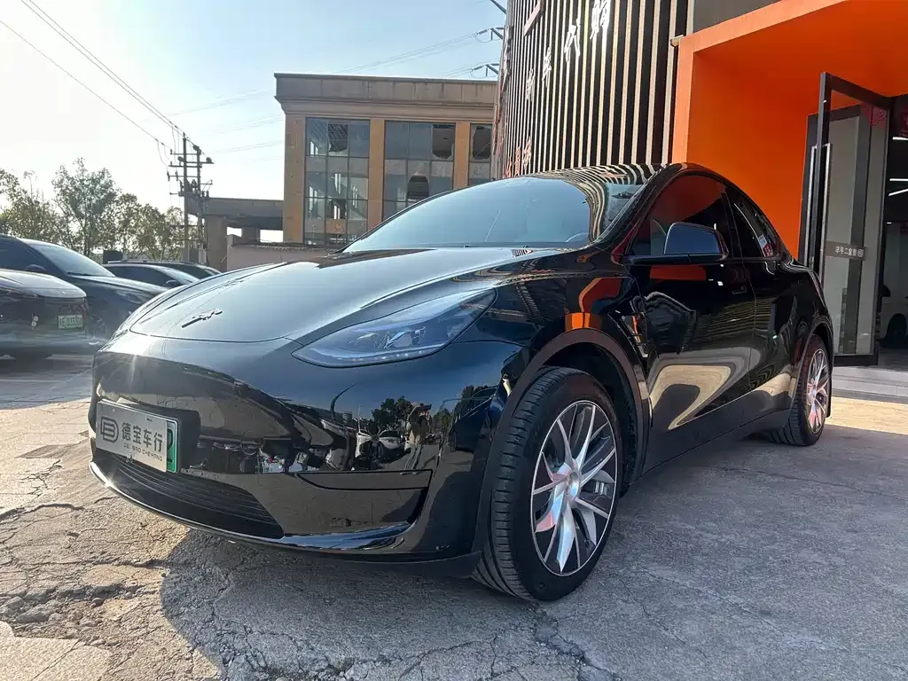 Tesla Model Y — фото 1