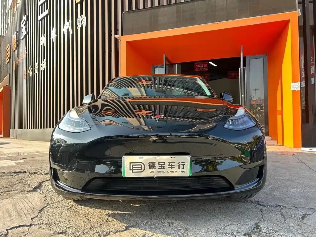 Tesla Model Y — фото 9