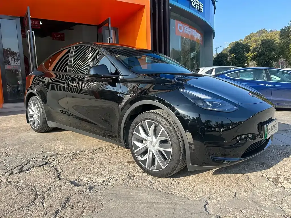 Tesla Model Y — фото 7