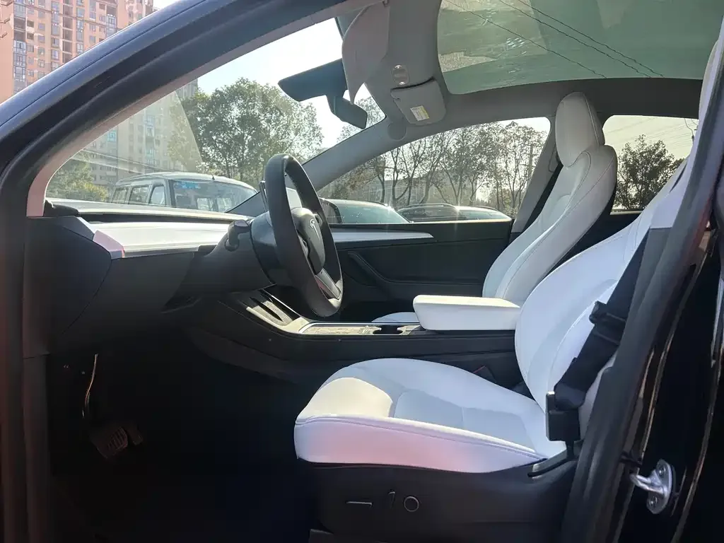 Tesla Model Y — фото 6