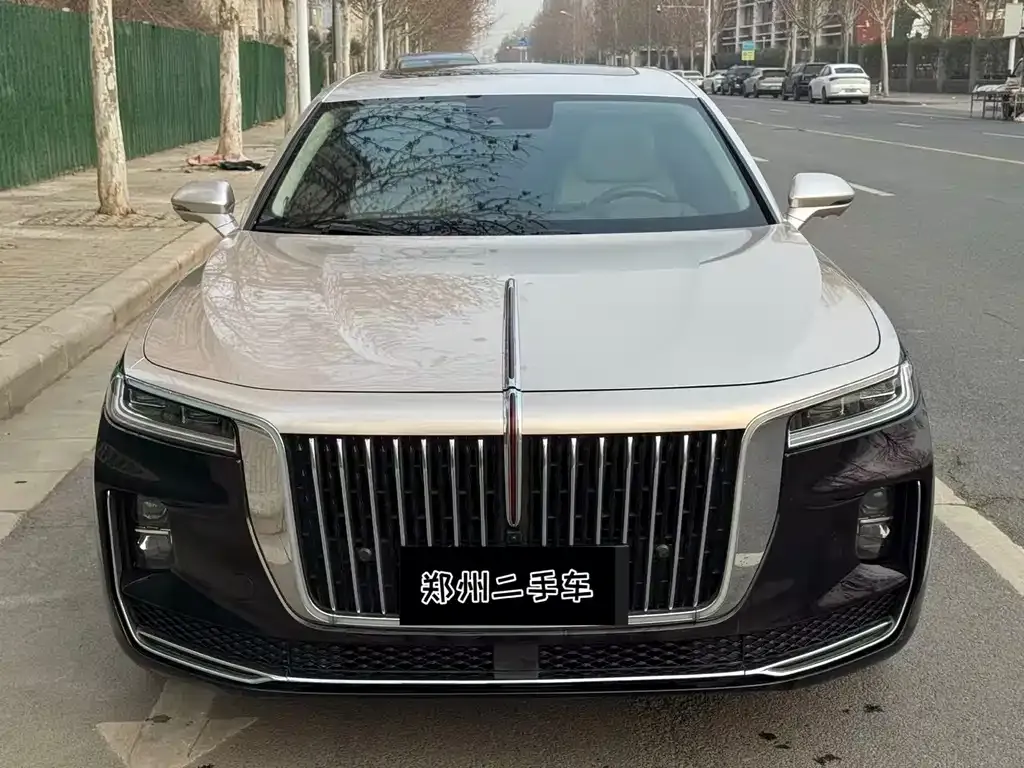 Hongqi H9 2021 из CN, фото 2