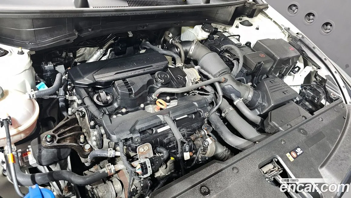 Kia Sportage — фото 9