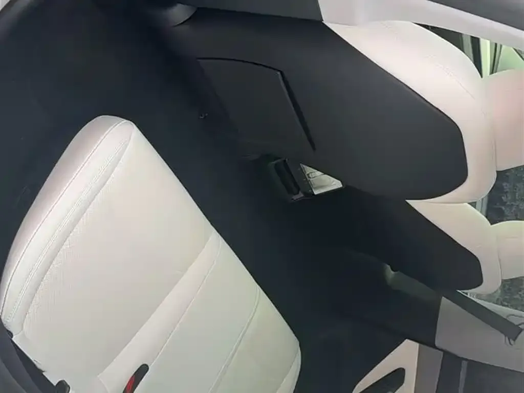Tesla Model Y 2025 из CN, фото 2