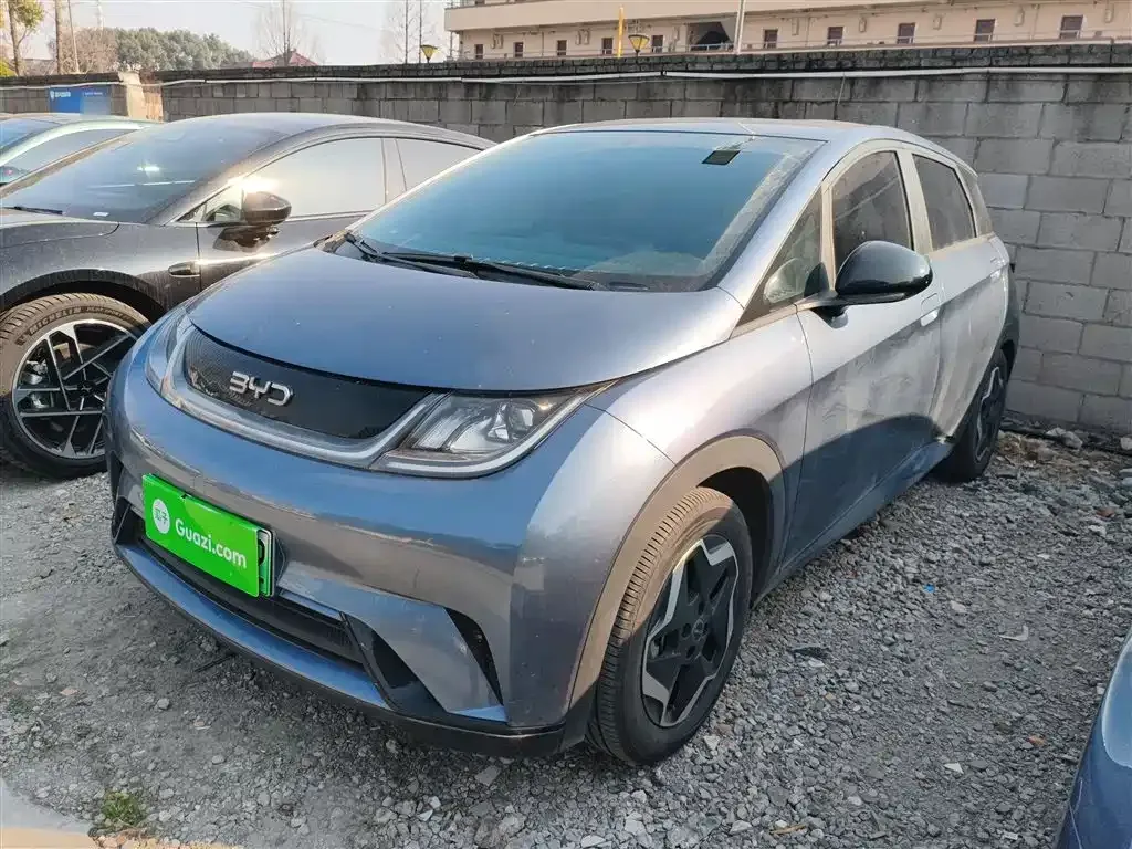 BYD Dolphin 2024 из CN, фото 1