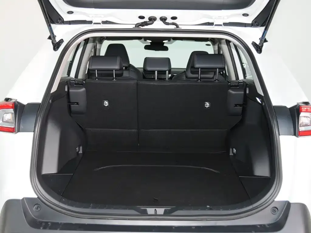 Toyota Wildlander 2023 из CN, фото 3