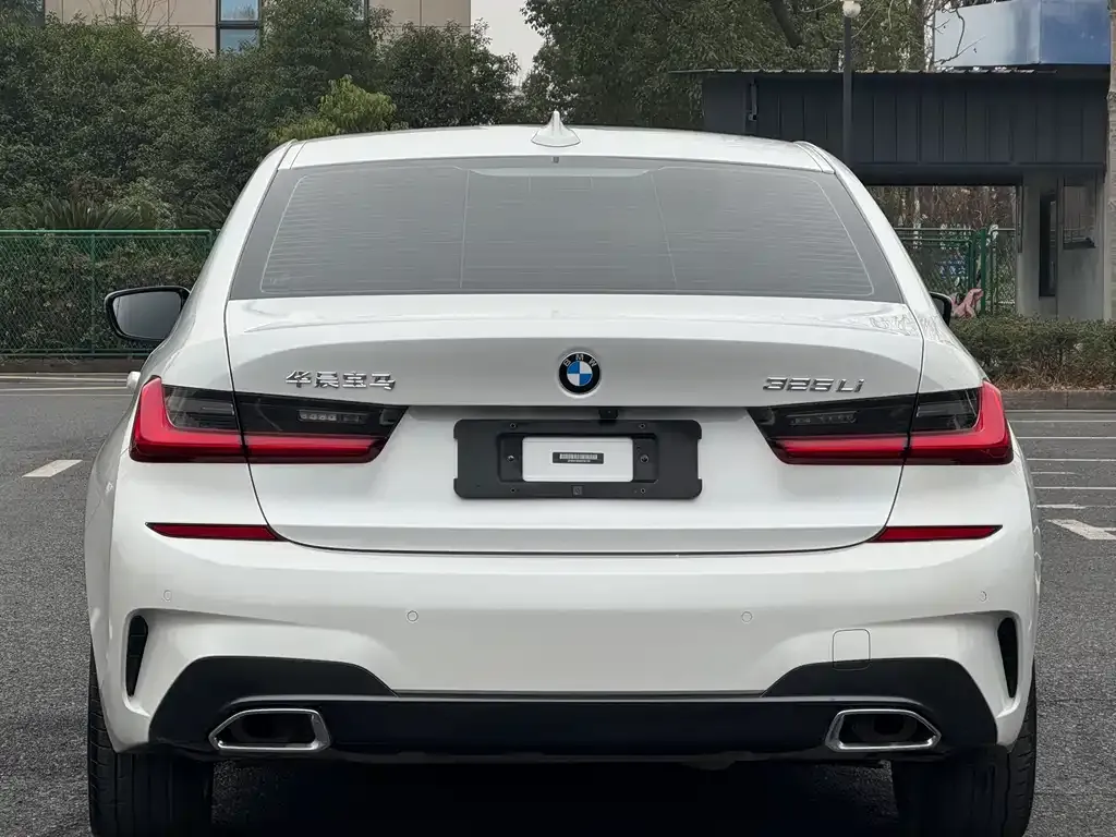 BMW 3 Series 2021 из CN, фото 6