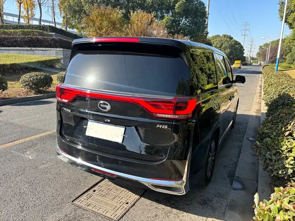 GAC Motor Trumpchi M8 2022 из CN, фото 5