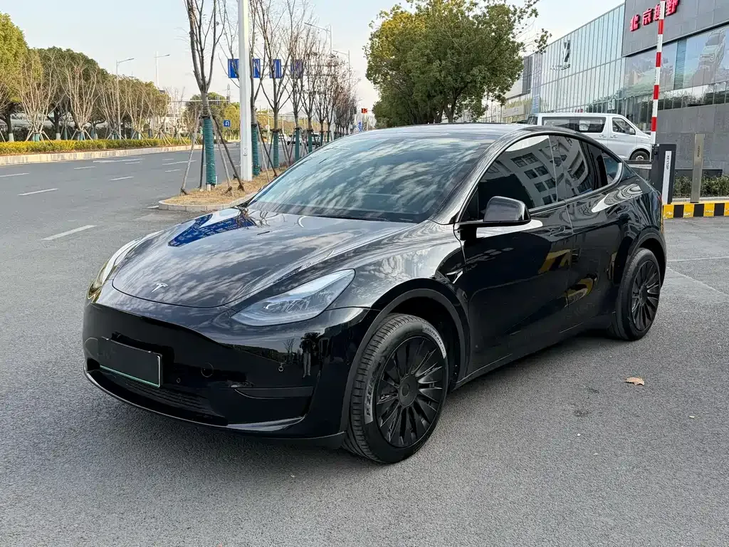 Tesla Model Y 2023 из CN, фото 1