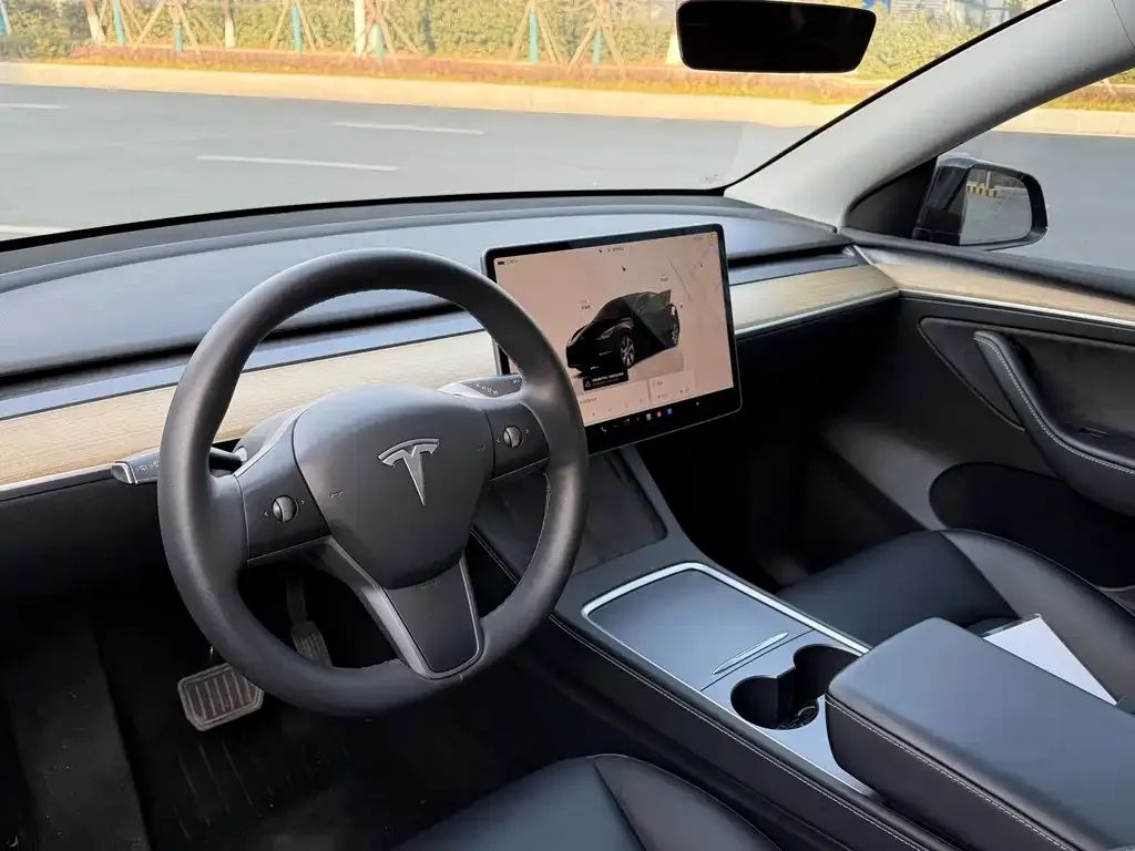 Tesla Model Y 2023 из CN, фото 2